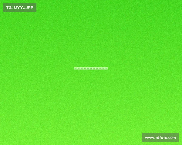 苏超南京队主场引入机器人服务团队提升观赛体验 苏超南京队主场引入机器人服务团队提升观赛体验